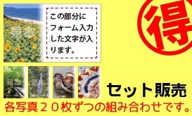 20枚x5種類セット名刺 S