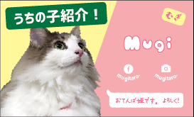 ペットめいし X